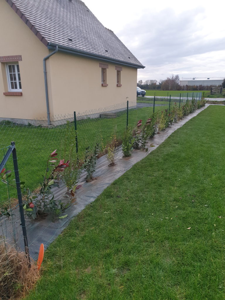 Plantation sur toile tissé