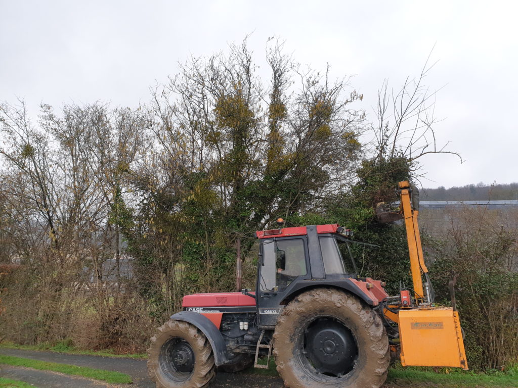 Taille de haie avec tracteur scie