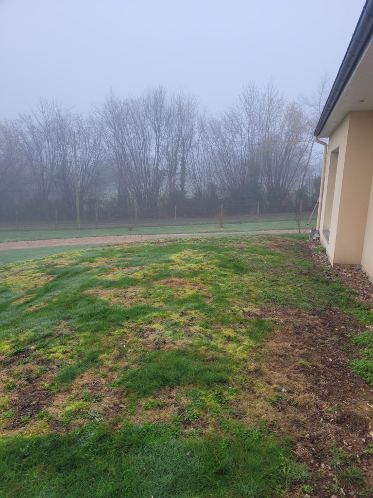 Installation d'une terrasse en bois pin classe 4